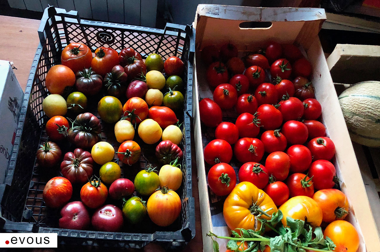 Cueillettes près de Paris : fruits légumes frais, adresses horaires des  fermes