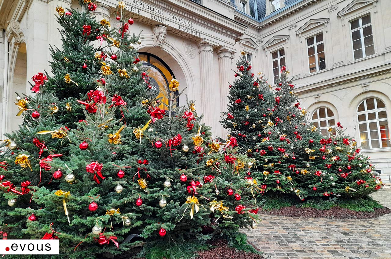Recyclage Où jeter votre sapin de Noël à Paris en 20242025