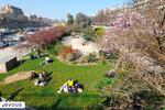 Où pique-niquer à Paris : Nos bons plans 