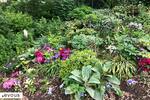 Jardin Villemin - Mahsa Jina Amini, Paris 10e
