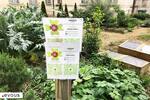 Fête de la Nature 2025 : Les animations à Paris 
