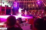 Les cirques de Noël 2024 à Paris 