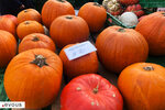 Halloween : Où acheter une citrouille près de Paris ?