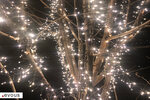 Illuminations de Noël 2024 à Paris : Où et quand ?