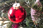 Marchés aux sapins de Noël 2023 à Lyon