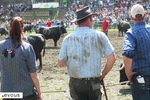 Feria d'Arles 2024