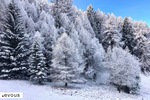 Fête de l'Hiver Oyonnax 2023