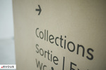 Muséum de Toulouse : programme des expositions