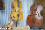 Festival Passe ton Bach d'abord 2024 à Toulouse