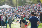 Festival Convivencia 2024