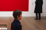 Musée d'Art Brut de Montpellier