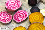 Légumes de saison en France, le calendrier de l'année
