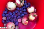 Fruits de saison en France, le calendrier de l'année