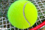 C'est quand la finale du Rolex Paris Masters 2024 ?
