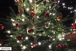 Comment se débarrasser de son sapin de Noël à Toulouse ?