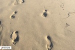 Les Plages du Rire, Nice 2024