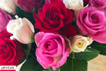 Fête des Roses et des Plantes 2024 à la Villa Ephrussi de Rothschild