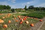 Domaine de la Grange La Prévôté à Savigny-le-Temple (horaires, accès)