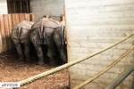 Les meilleurs zoos et aquariums près de Marseille