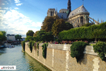 Notre-Dame de Paris : Horaires d'ouverture