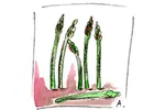 Recette Tarte aux asperges et aux poivrons