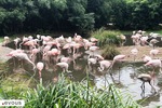 Les plus beaux zoos et aquariums de Bretagne
