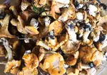 Comment conserver les girolles : en bocal ou surgelées ?