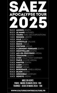 Saez en concert à Toulouse en 2025