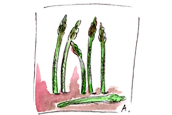 Recette Tarte aux asperges et aux poivrons