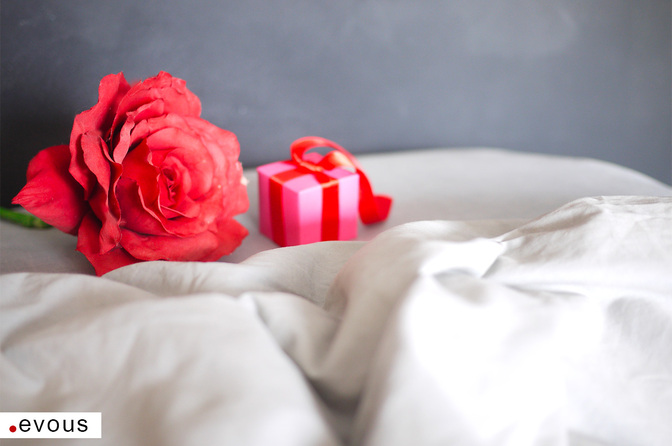 Une rose pour la Saint-Valentin